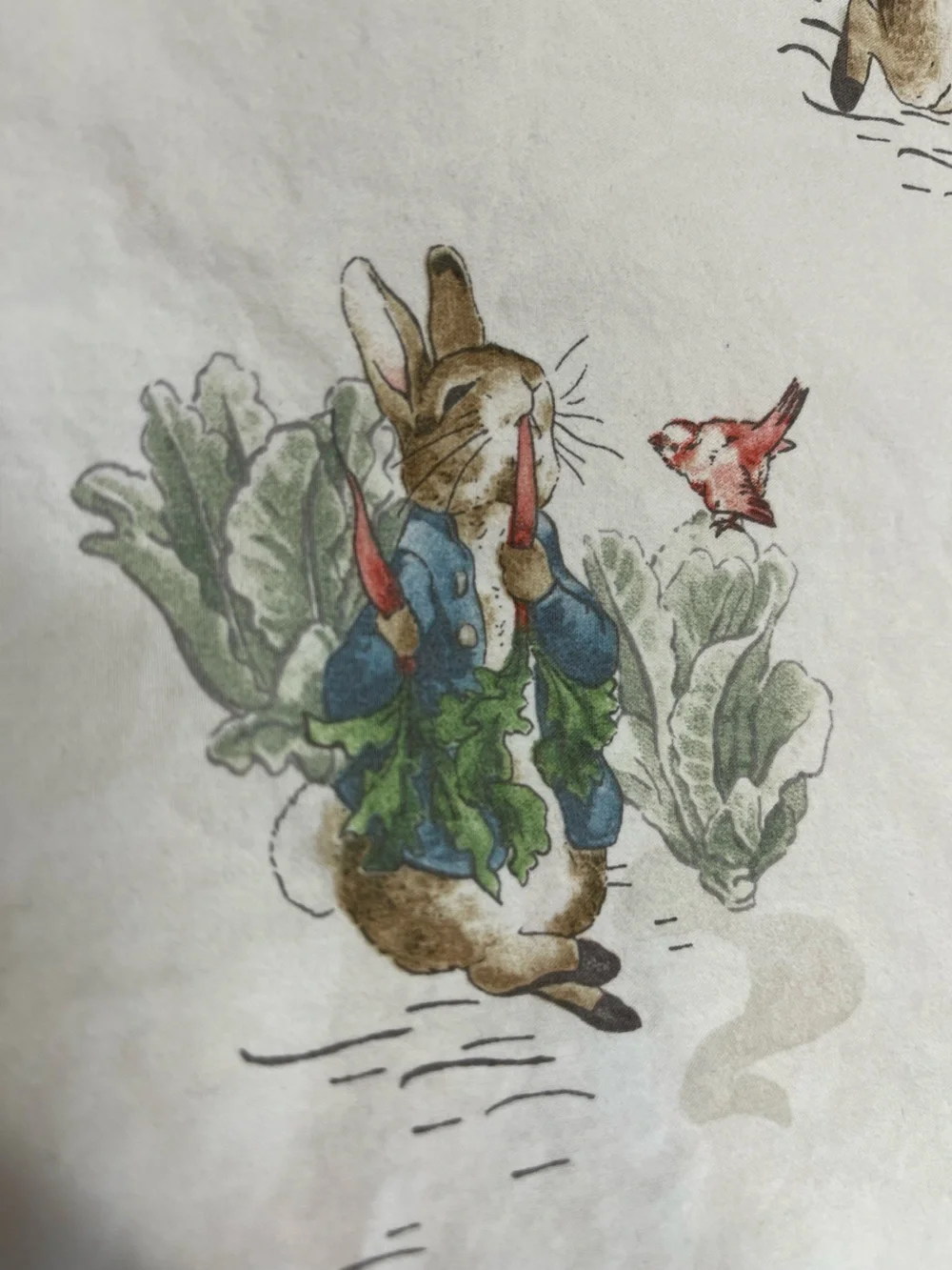 Pottery Barn Kids Peter Rabbit Organic Crib 0487 Fitted Sheet Beatrix Potter